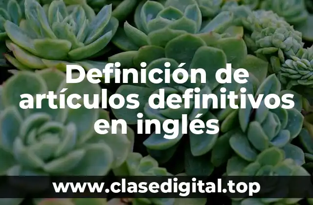 Definición de artículos definitivos en inglés