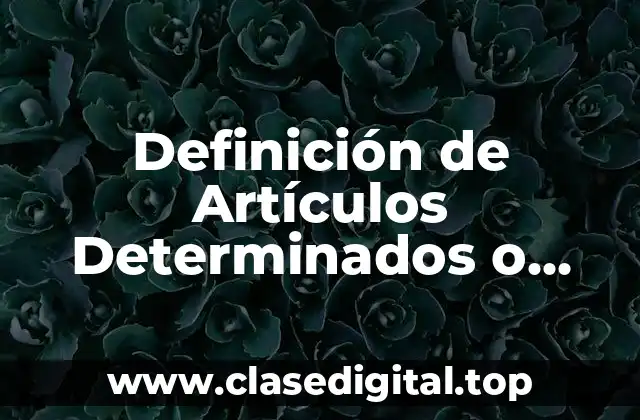 Definición de Artículos Determinados o Definidos