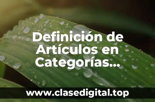 Definición de Artículos en Categorías Gramaticales