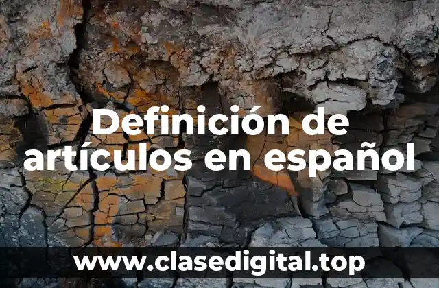 Definición de artículos en español