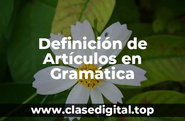 Definición de Artículos en Gramática