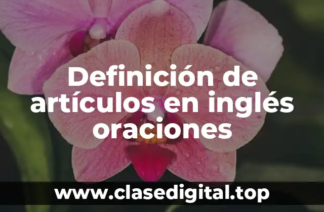 Definición de artículos en inglés oraciones