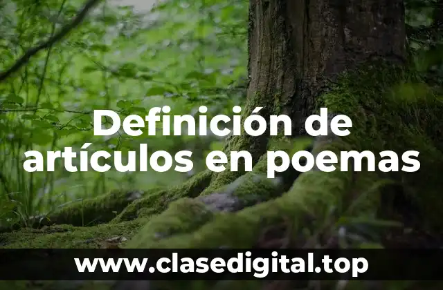 Definición de artículos en poemas