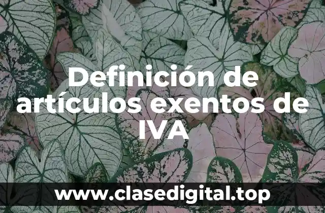 Definición de artículos exentos de IVA