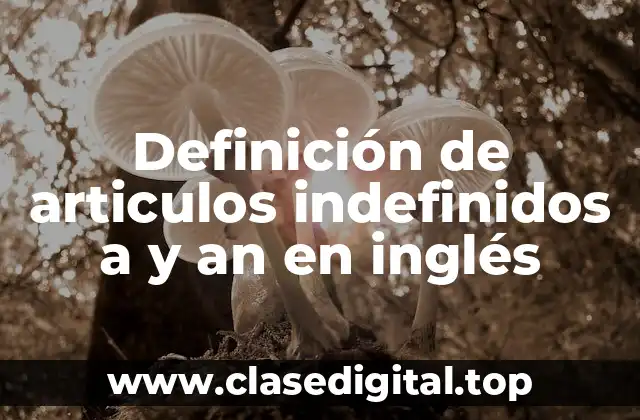 Definición de articulos indefinidos a y an en inglés