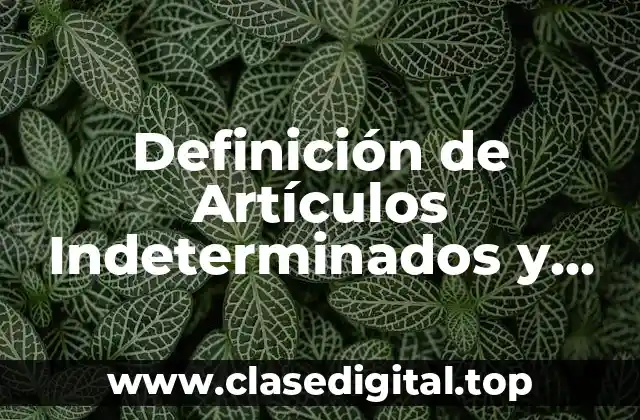 Definición de Artículos Indeterminados y Determinados