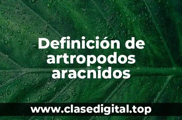 Definición de artropodos aracnidos