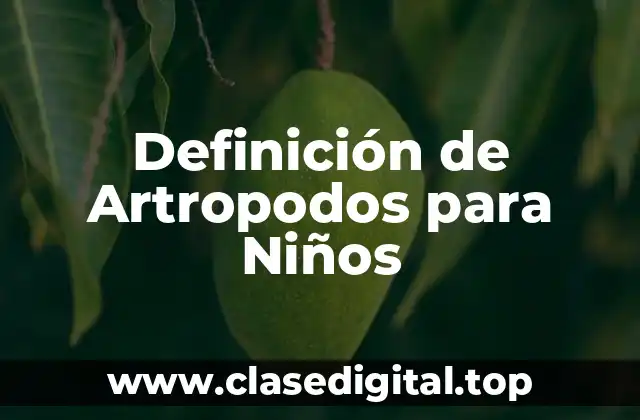 Definición de Artropodos para Niños