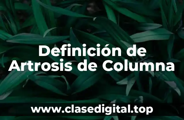Definición de Artrosis de Columna