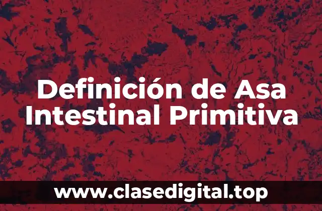 Definición de Asa Intestinal Primitiva