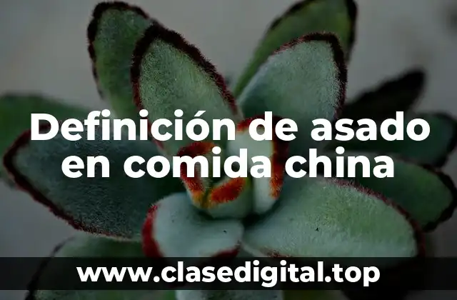 Definición de asado en comida china
