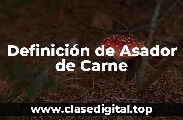 Definición de Asador de Carne