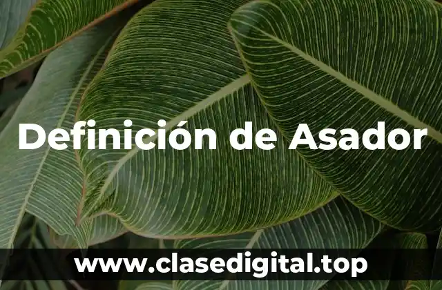 Definición de Asador