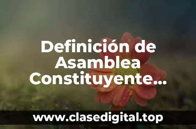 Definición de Asamblea Constituyente Originaria