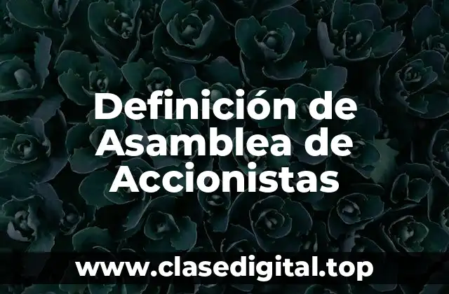 Definición de Asamblea de Accionistas