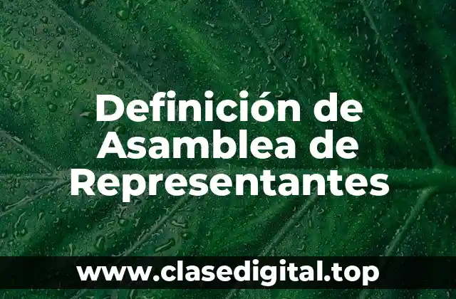 Definición técnica de Asamblea de Representantes