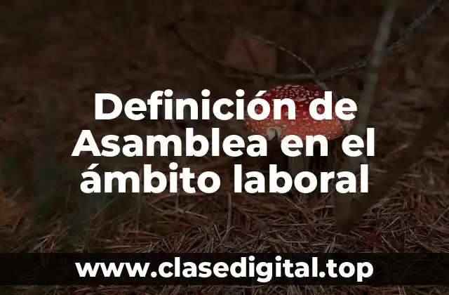 Definición de Asamblea en el ámbito laboral