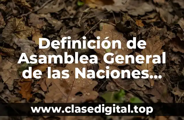 Definición de Asamblea General de las Naciones Unidas