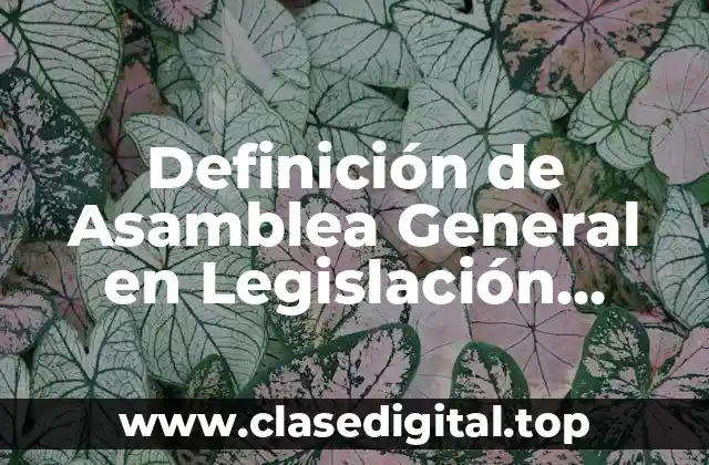 Definición de Asamblea General en Legislación Laboral y Mercantil