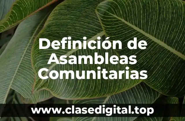 Definición de Asambleas Comunitarias