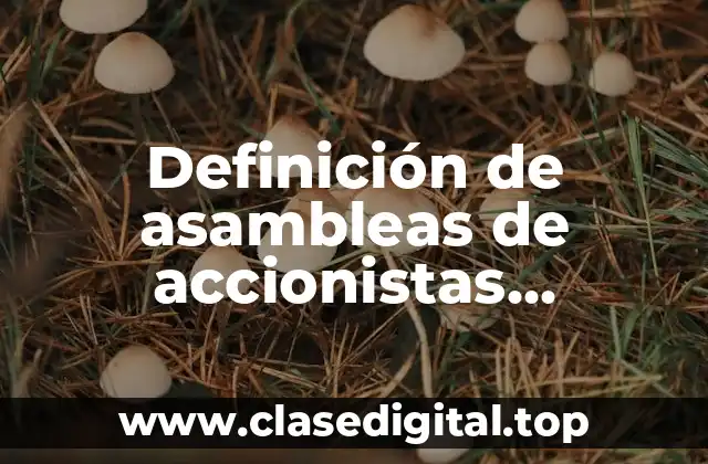 Ejemplos de asambleas de accionistas