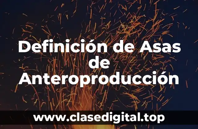 Definición de Asas de Anteroproducción