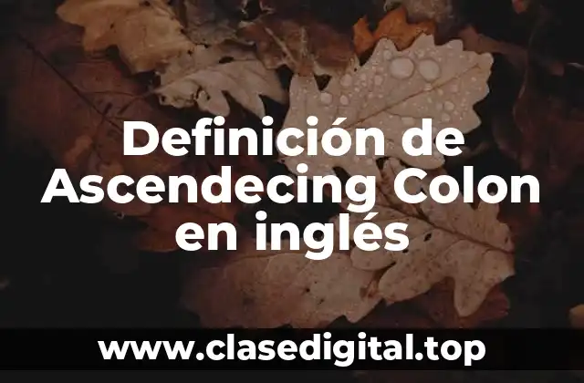 Definición de Ascendecing Colon en inglés