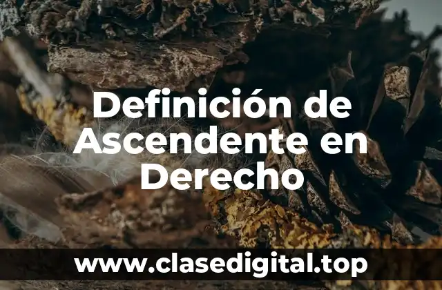 Definición de Ascendente en Derecho