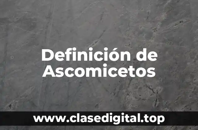 Definición de Ascomicetos