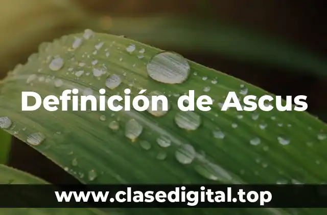 Definición de Ascus