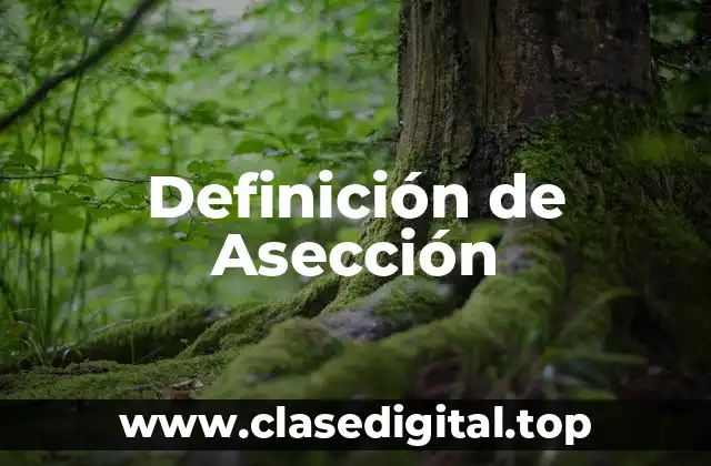 Definición de Asección