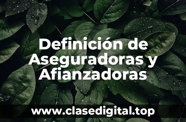 Definición de Aseguradoras y Afianzadoras