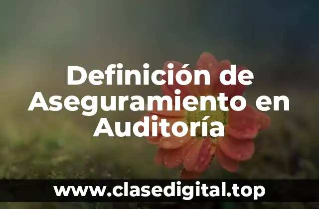 Definición de Aseguramiento en Auditoría