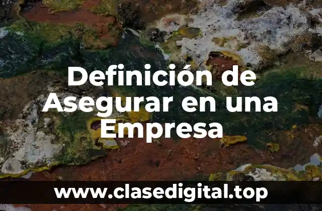 Definición de Asegurar en una Empresa