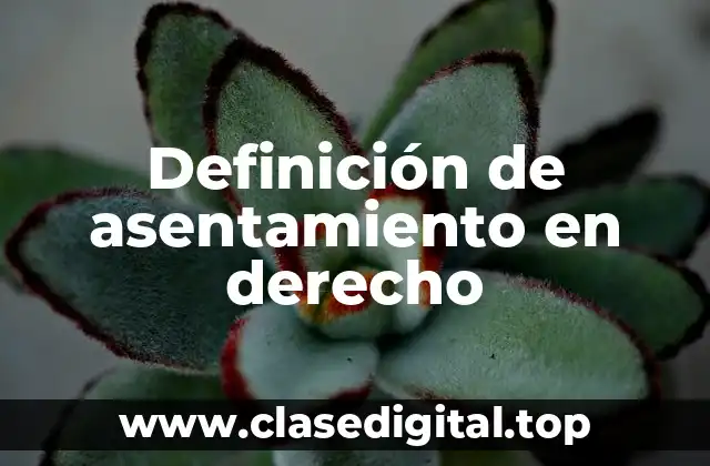 Definición de asentamiento en derecho