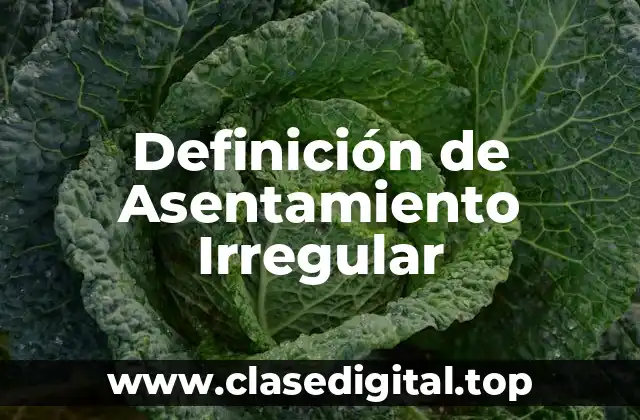 Definición de Asentamiento Irregular