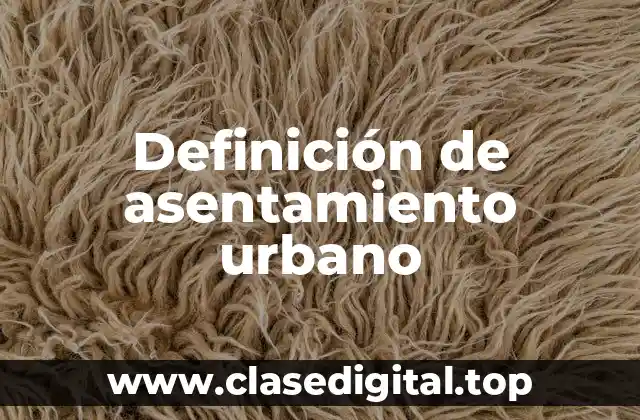 Definición de asentamiento urbano
