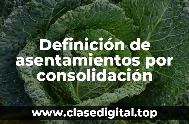 Ejemplos de asentamientos por consolidación
