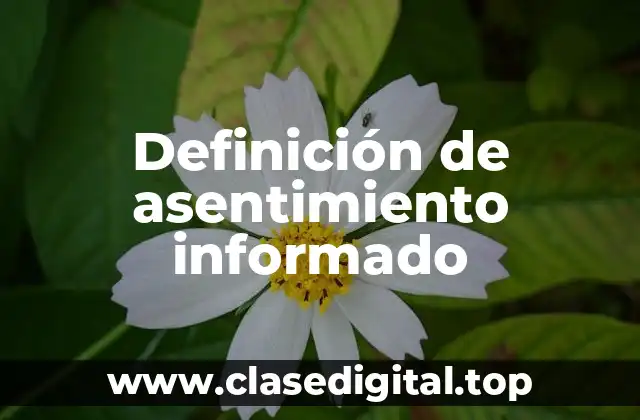 Definición de asentimiento informado