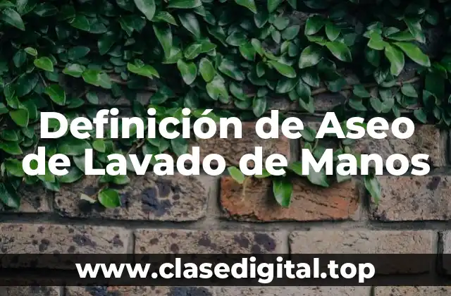 Definición de Aseo de Lavado de Manos