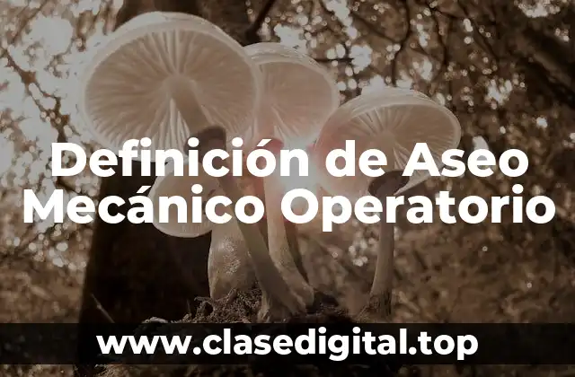 Definición de Aseo Mecánico Operatorio