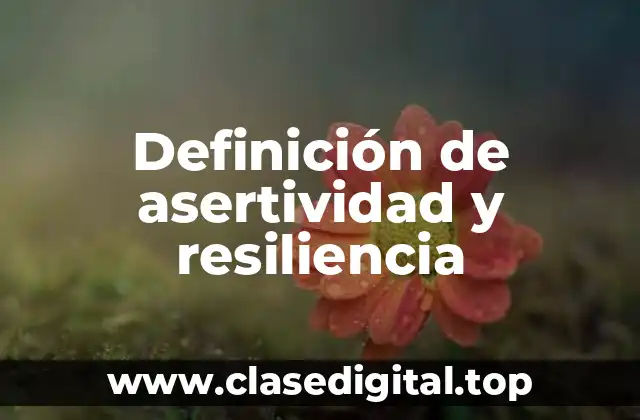 Definición de asertividad y resiliencia