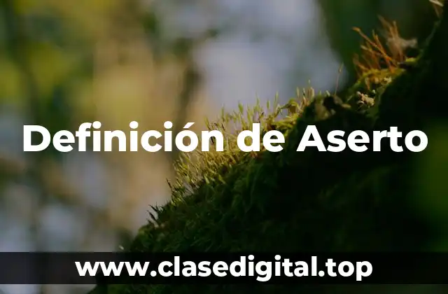 Definición de Aserto