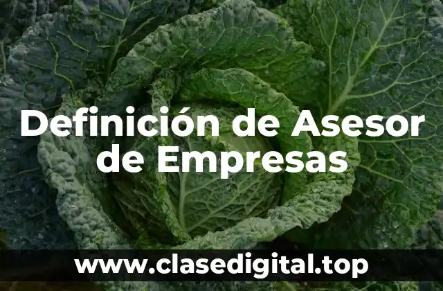 Definición de Asesor de Empresas