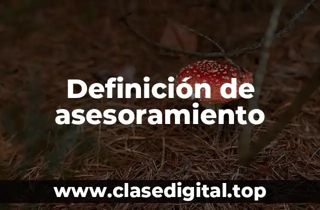 Ejemplos de asesoramiento