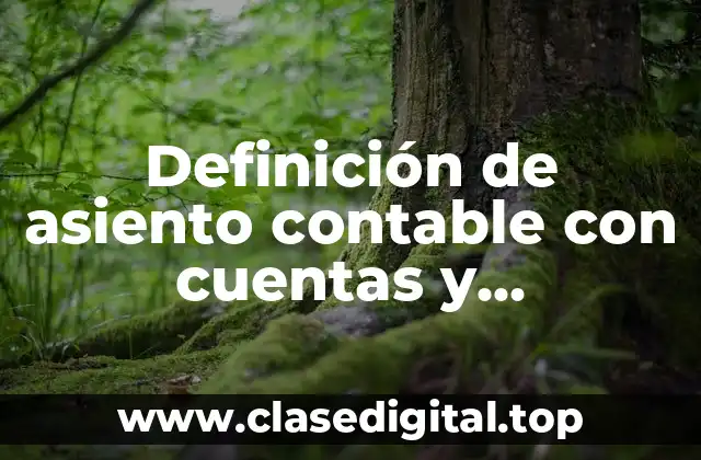 Definición de asiento contable con cuentas y subcuentas