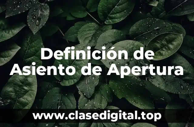 Definición de Asiento de Apertura