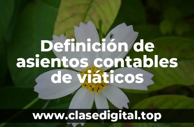 Definición de asientos contables de viáticos