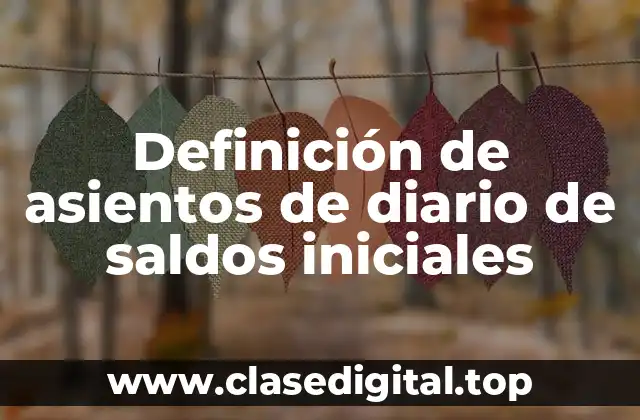 Definición de asientos de diario de saldos iniciales
