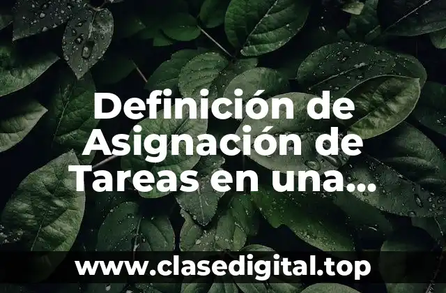 Definición Técnica de Asignación de Tareas